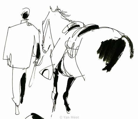 image aleatoire